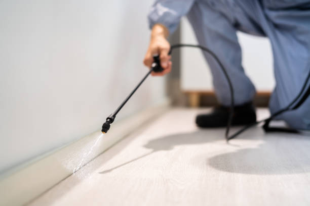 Licensed Cockroach Control service in Bakersfield, CA - Nex Pest Control