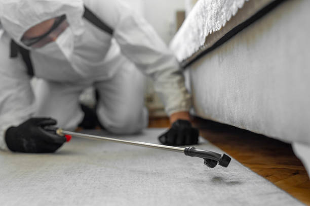 Professional Cockroach Control technician working in Bakersfield, CA