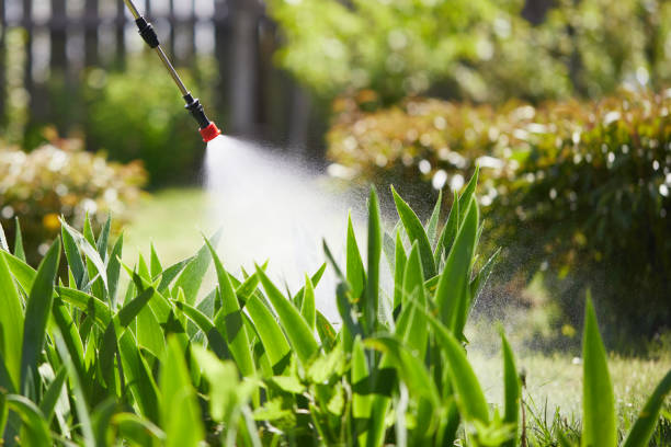 24/7 Emergency Cockroach Control experts in Bakersfield, CA