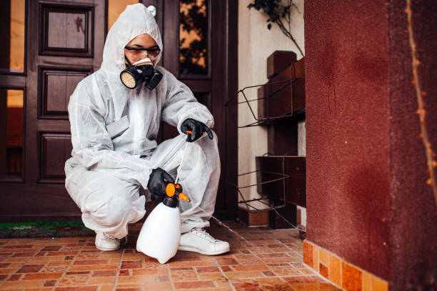 Reliable Cockroach Control contractor in Bakersfield, CA by Nex Pest Control